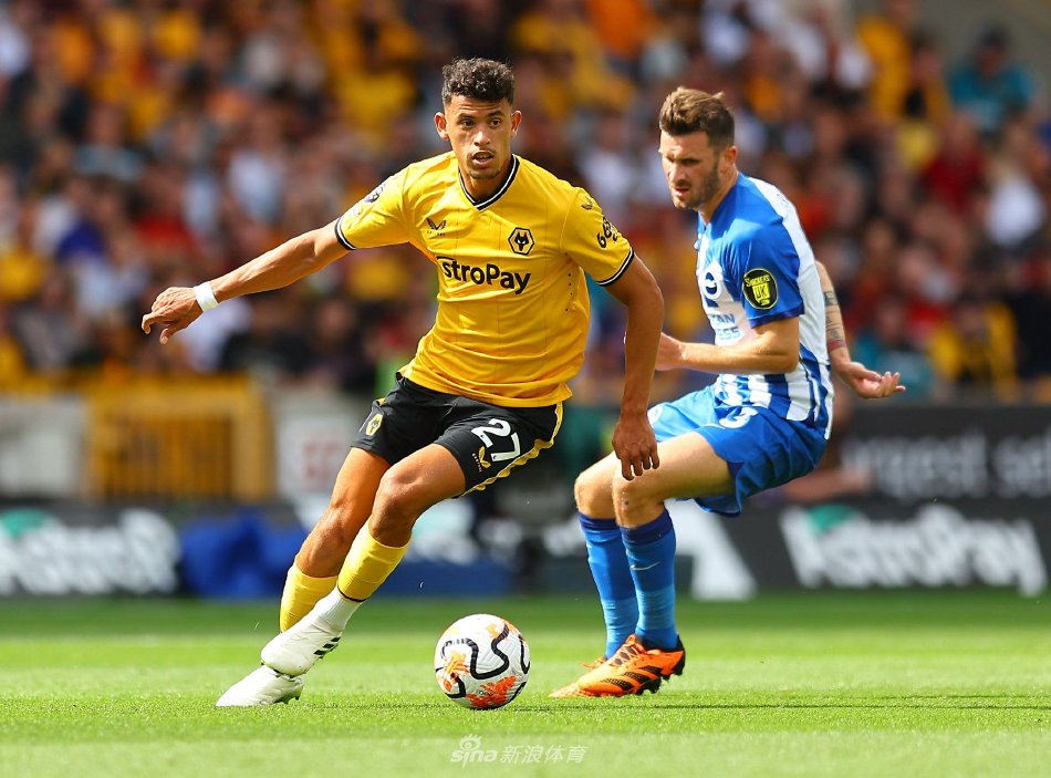 为了奖励阿 为了奖励阿